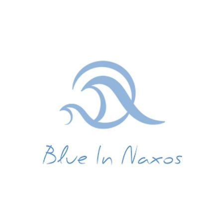 Blue In Naxos Hotel Naxos City Exterior foto
