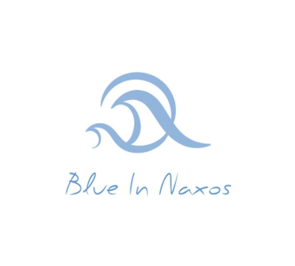 Blue In Naxos Hotel Naxos City Exterior foto